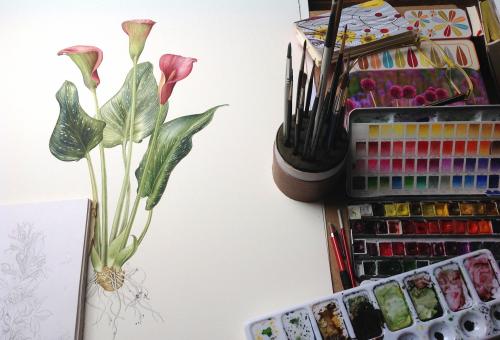 Botanical Painting
